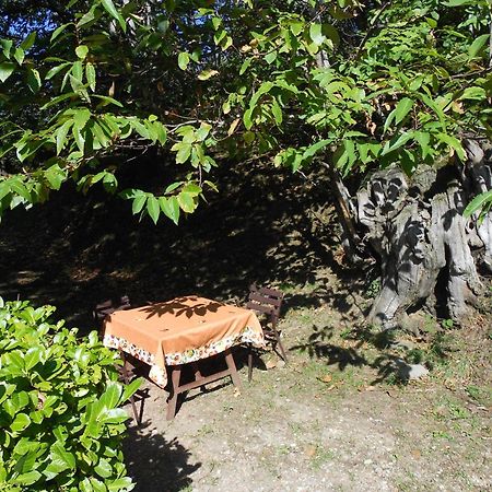 Fattoria Il Praticino Villa Castelfranco di Sopra Esterno foto