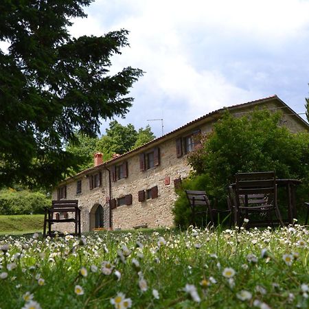 Fattoria Il Praticino Villa Castelfranco di Sopra Esterno foto