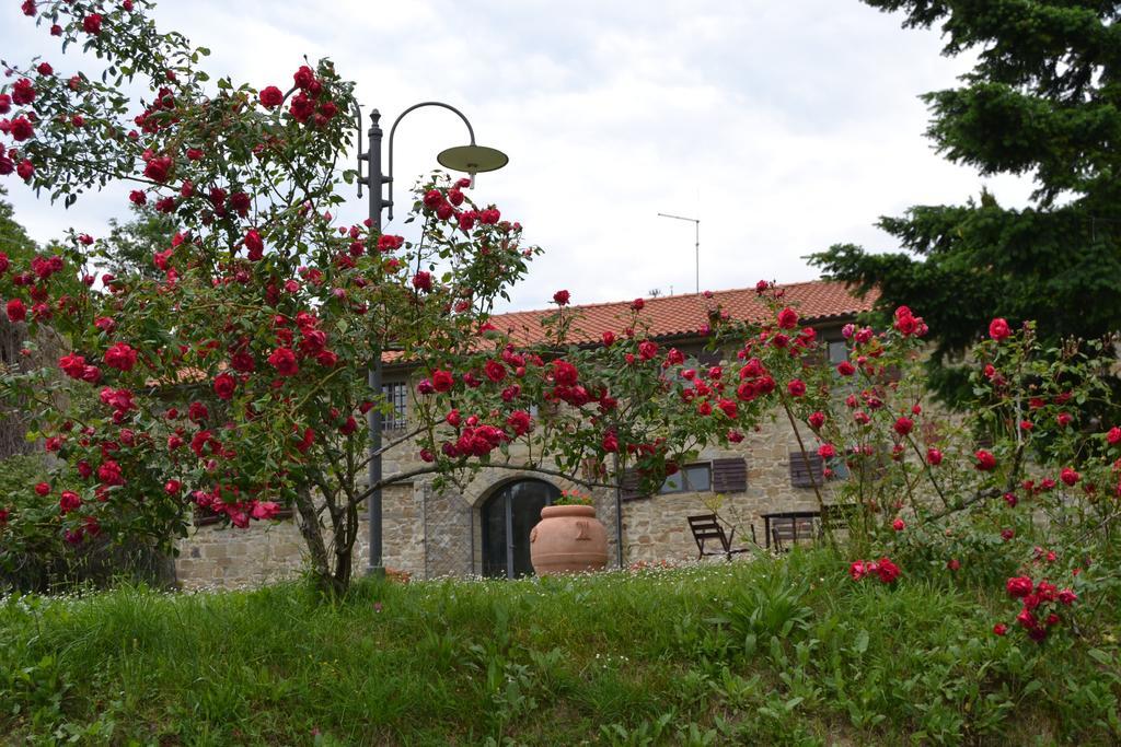 Fattoria Il Praticino Villa Castelfranco di Sopra Esterno foto