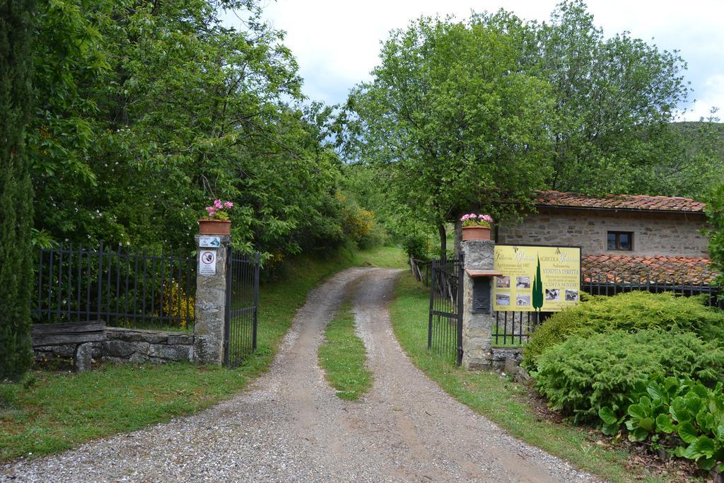 Fattoria Il Praticino Villa Castelfranco di Sopra Esterno foto