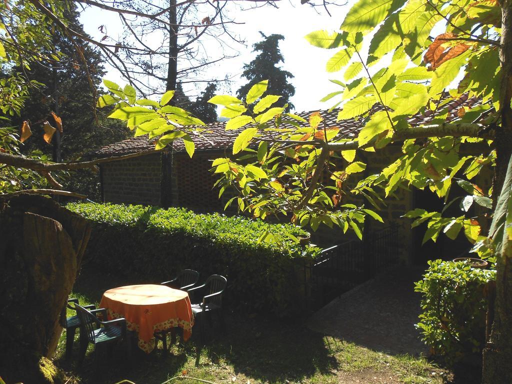 Fattoria Il Praticino Villa Castelfranco di Sopra Esterno foto
