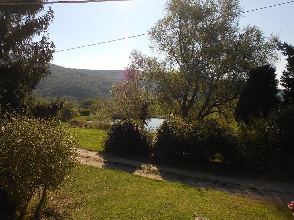 Fattoria Il Praticino Villa Castelfranco di Sopra Esterno foto