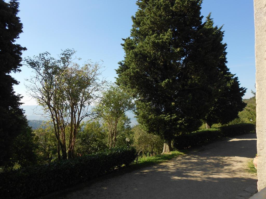 Fattoria Il Praticino Villa Castelfranco di Sopra Esterno foto